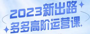 大炮·多多高阶运营课,3大玩法助力打造爆款,实操玩法直接亮出干货-升阶有道