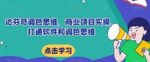达芬奇调色思维,商业项目实操,打通软件和调色思维-升阶有道