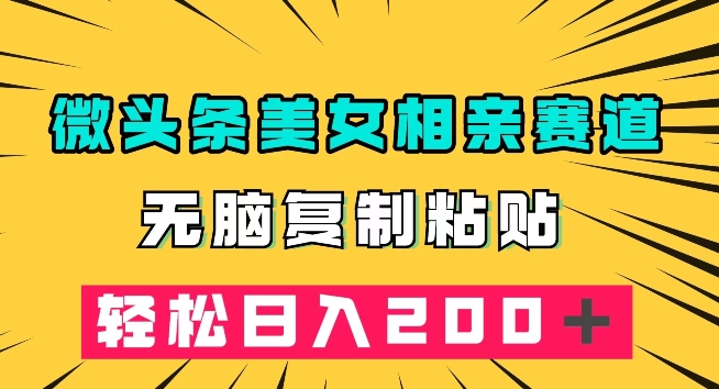 微头条冷门美女相亲赛道，无脑复制粘贴，轻松日入200＋【揭秘】-升阶有道