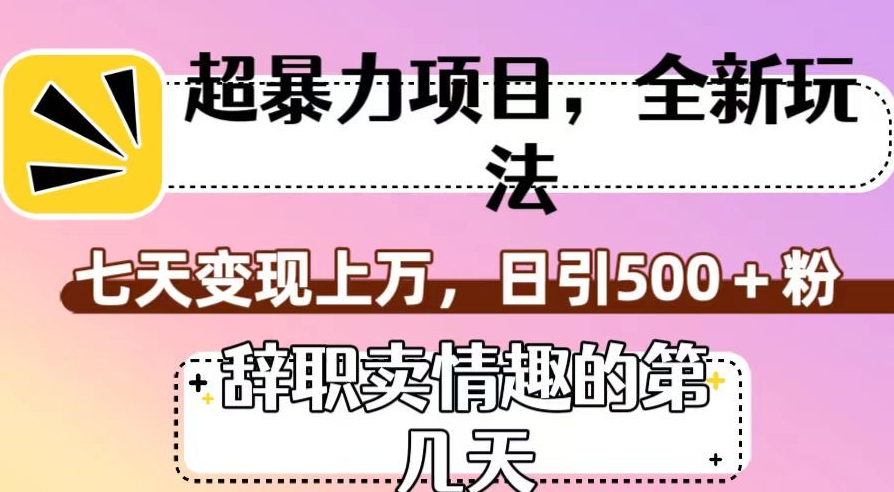 超暴利项目，全新玩法（辞职卖情趣的第几天），七天变现上万，日引500+粉【揭秘】-升阶有道