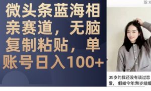 微头条蓝海相亲赛道，无脑复制粘贴，单账号日入100+-升阶有道