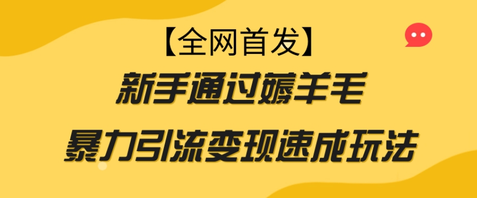 【全网首发】新手通过薅羊毛暴力引流变现速成玩法-升阶有道