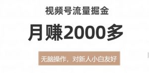 视频号流量掘金,无脑操作,对新人小白友好,月赚2000多【揭秘】-升阶有道