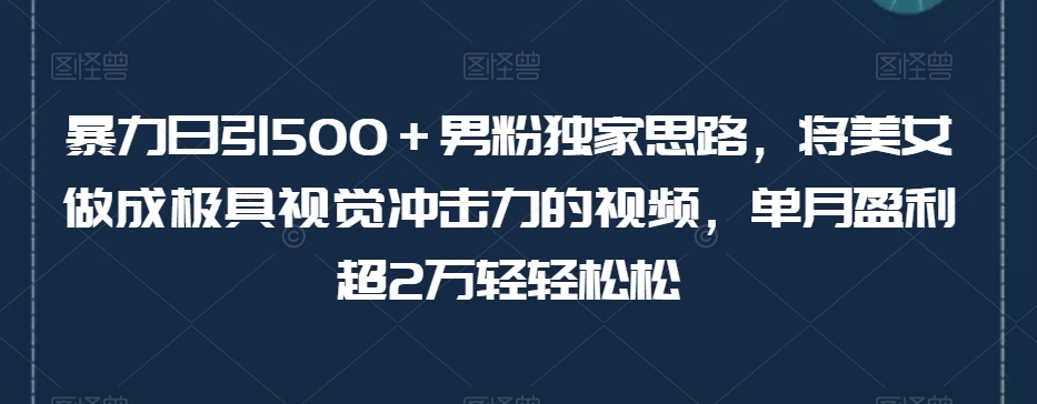 暴力日引500＋男粉独家思路，将美女做成极具视觉冲击力的视频，单月盈利超2万轻轻松松-升阶有道