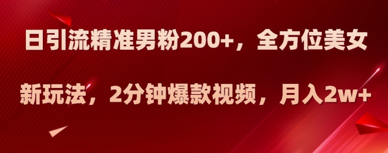 日引流精准男粉200+，全方位美女新玩法，2分钟爆款视频，月入2w+【揭秘】-升阶有道