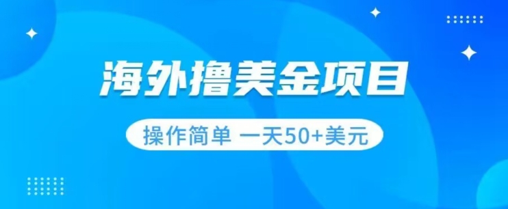 撸美金项目无门槛操作简单小白一天50+美刀-升阶有道