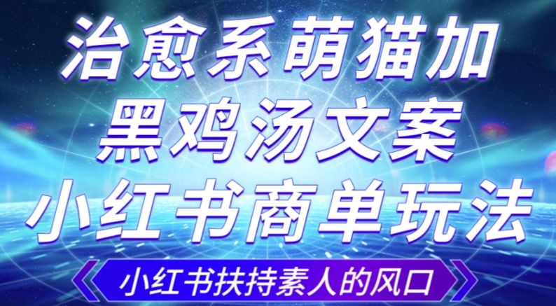 治愈系萌猫加+黑鸡汤文案，小红书商单玩法，3~10天涨到1000粉，一单200左右-升阶有道