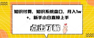 知识付费,知识系统盘口,月入1w+,新手小白直接上手-升阶有道