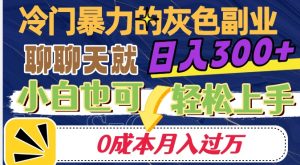 冷门暴利的副业项目,聊聊天就能日入300+,0成本月入过万【揭秘】-升阶有道