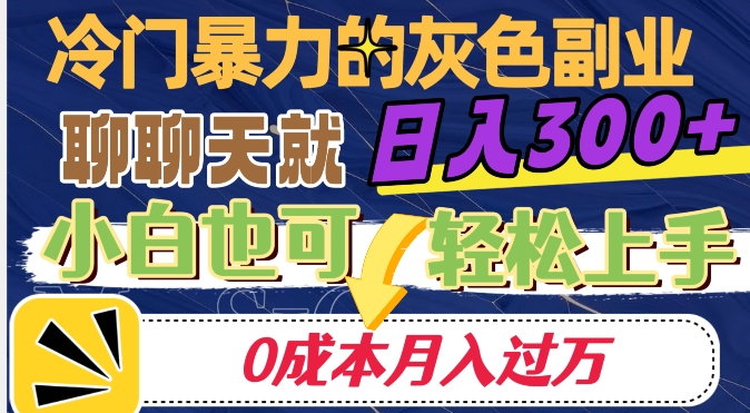 冷门暴利的副业项目，聊聊天就能日入300+，0成本月入过万【揭秘】-升阶有道