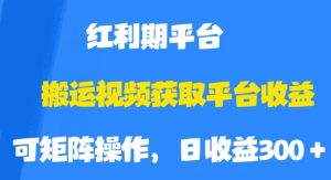搬运视频获取平台收益，平台红利期，附保姆级教程【揭秘】-升阶有道