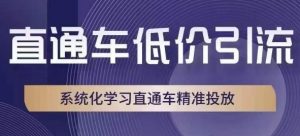直通车低价引流课，系统化学习直通车精准投放-升阶有道