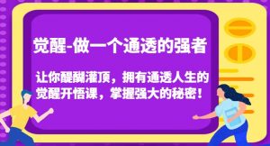 觉醒-做一个通透的强者，让你醍醐灌顶，拥有通透人生的觉醒开悟课，掌握强大的秘密！-升阶有道