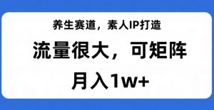 养生赛道,素人IP打造,流量很大,可矩阵,月入1w+【揭秘】-升阶有道