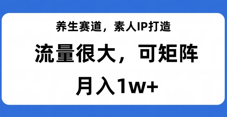 养生赛道，素人IP打造，流量很大，可矩阵，月入1w+【揭秘】-升阶有道
