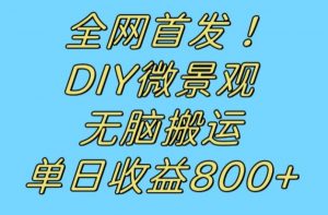 全网首发冷门赛道!DIY微景观,无脑搬运视频,日收益800+【揭秘】-升阶有道