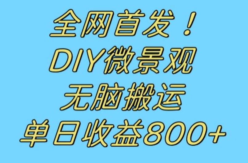 全网首发冷门赛道！DIY微景观，无脑搬运视频，日收益800+【揭秘】-升阶有道