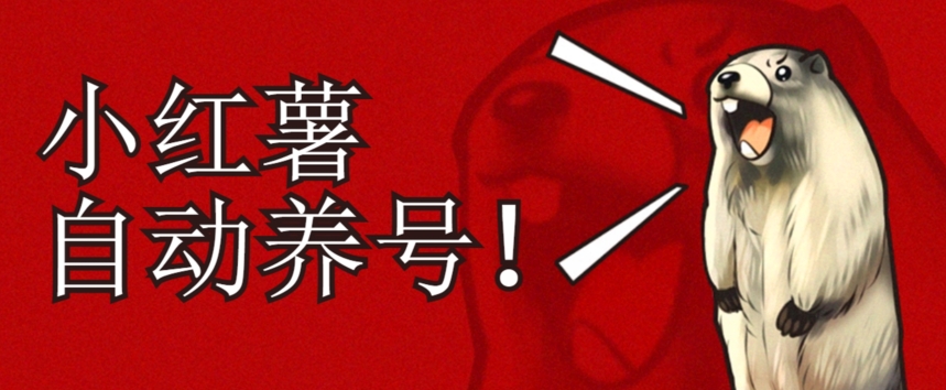 小红书养号秘籍，如何自动涨粉清晰系统标签打造高权重账号【揭秘】-升阶有道