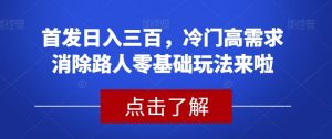 首发日入三百，冷门高需求消除路人零基础玩法来啦【揭秘】-升阶有道