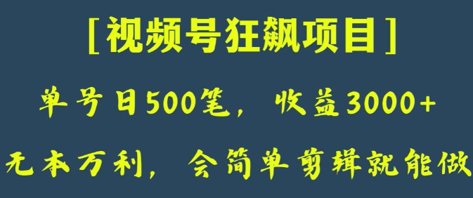 日收款500笔，纯利润3000+，视频号狂飙项目，会简单剪辑就能做【揭秘】-升阶有道