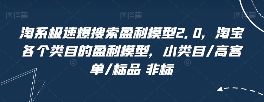 淘系极速爆搜索盈利模型2.0，淘宝各个类目的盈利模型，小类目/高客单/标品 非标-升阶有道