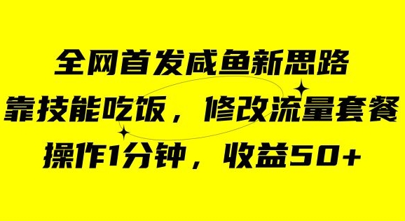 咸鱼冷门新玩法，靠“技能吃饭”，修改流量套餐，操作1分钟，收益50【揭秘】-升阶有道