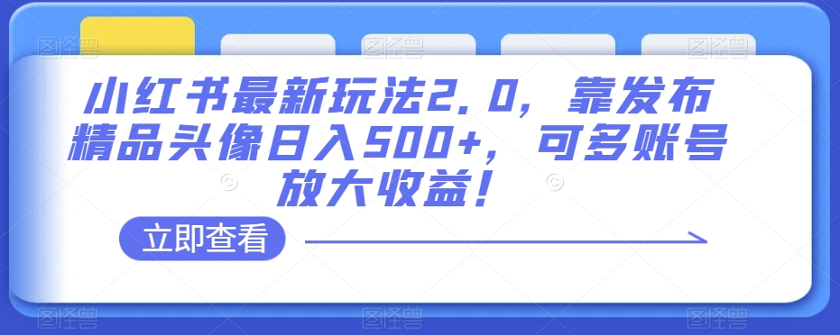小红书最新玩法2.0，靠发布精品头像日入500+，可多账号放大收益！【揭秘】-升阶有道