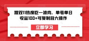 蹭双11热度吃一波肉,单号单日收益100+可复制放大操作【揭秘】-升阶有道