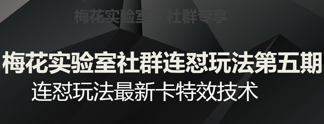 梅花实验室社群连怼玩法第五期，视频号连怼玩法最新卡特效技术-升阶有道