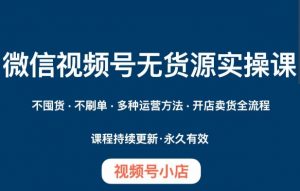 微信视频号小店无货源实操课程,不囤货·不刷单·多种运营方法·开店卖货全流程-升阶有道