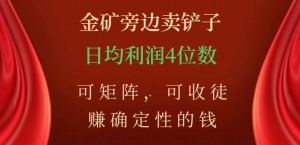 金矿旁边卖铲子,赚确定性的钱,可矩阵,可收徒,日均利润4位数【揭秘】-升阶有道