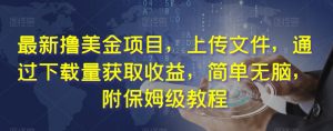最新撸美金项目,上传文件,通过下载量获取收益,简单无脑,附保姆级教程【揭秘】-升阶有道