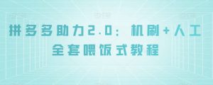 拼多多助力2.0：机刷+人工全套喂饭式教程【揭秘】-升阶有道