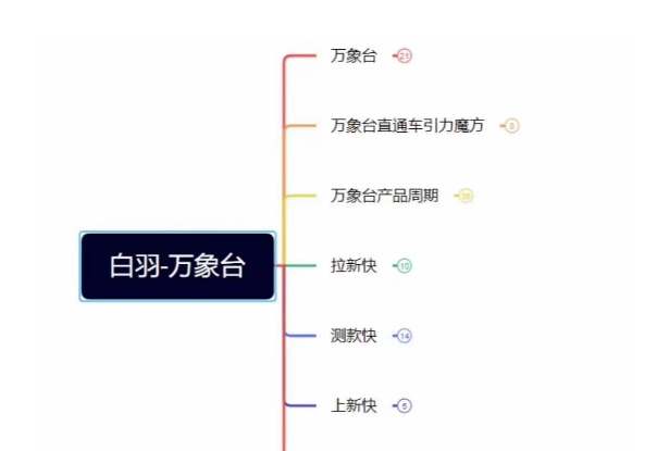 白羽·直引万搜索全篇，从0-1，多个类目实操经验总结付费-升阶有道