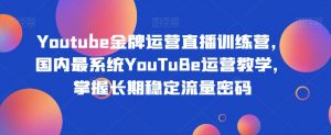 Youtube金牌运营直播训练营,国内最系统YouTuBe运营教学,掌握长期稳定流量密码-升阶有道