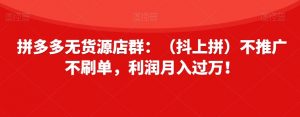 拼多多无货源店群:(抖上拼)不推广不刷单,利润月入过万!【揭秘】-升阶有道
