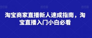 淘宝商家直播新人速成指南,淘宝直播入门小白必看-升阶有道