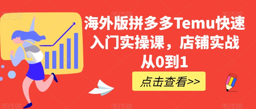海外版拼多多Temu快速入门实操课，店铺实战从0到1-升阶有道