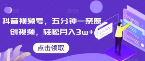 抖音视频号,五分钟一条原创视频,轻松月入3w+【独家秘诀,传授赚钱方法】【揭秘】-升阶有道