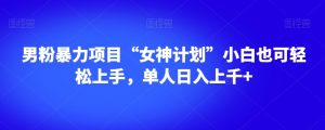 男粉暴力项目“女神计划”小白也可轻松上手，单人日入上千+【揭秘】-升阶有道