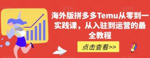 海外版拼多多Temu从零到一实践课,从入驻到运营的最全教程-升阶有道