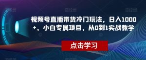视频号直播带货冷门玩法，日入1000+，小白专属项目，从0到1实战教学【揭秘】-升阶有道