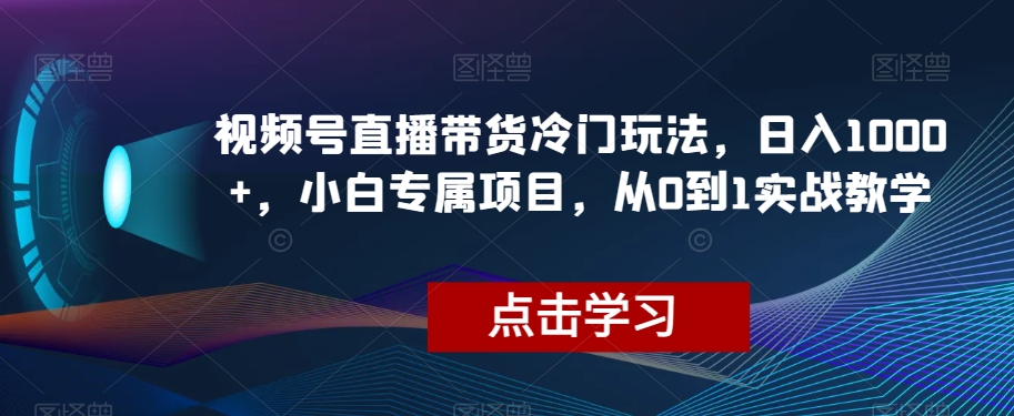 视频号直播带货冷门玩法，日入1000+，小白专属项目，从0到1实战教学【揭秘】-升阶有道