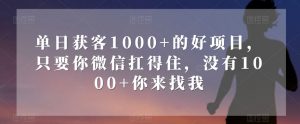 单日获客1000+的好项目，只要你微信扛得住，没有1000+你来找我【揭秘】-升阶有道