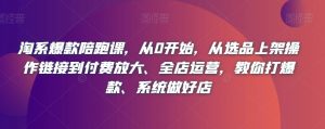 淘系爆款陪跑课,从0开始,从选品上架操作链接到付费放大、全店运营,教你打爆款、系统做好店-升阶有道