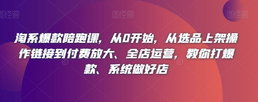 淘系爆款陪跑课，从0开始，从选品上架操作链接到付费放大、全店运营，教你打爆款、系统做好店-升阶有道