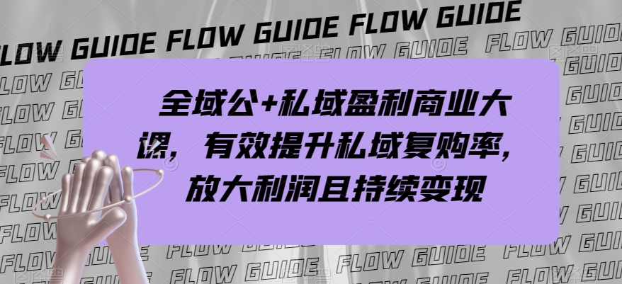 全域公+私域盈利商业大课，有效提升私域复购率，放大利润且持续变现-升阶有道