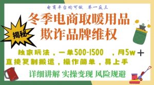 利用电商平台冬季销售取暖用品欺诈行为合理制裁店铺，单日入900+【仅揭秘】-升阶有道