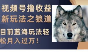 视频号撸收益新玩法之狼道,目前蓝海玩法,轻松月入过万【揭秘】-升阶有道