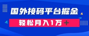 通过国外接码平台掘金:成本1.3,利润10+,轻松月入1万+【揭秘】-升阶有道